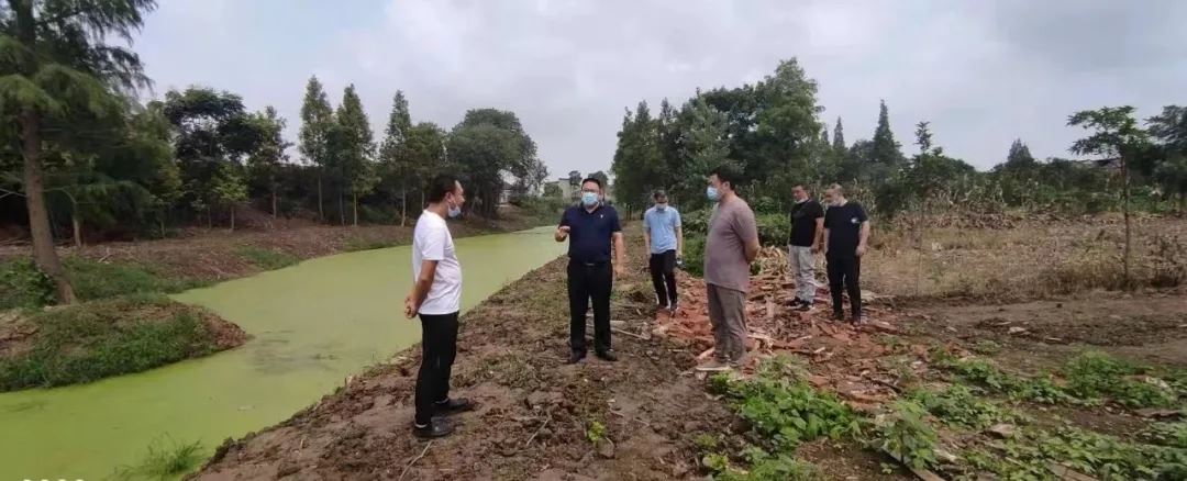 17.webp.jpg 17.webp.jpg