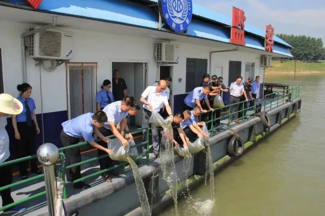 19.webp.jpg 19.webp.jpg